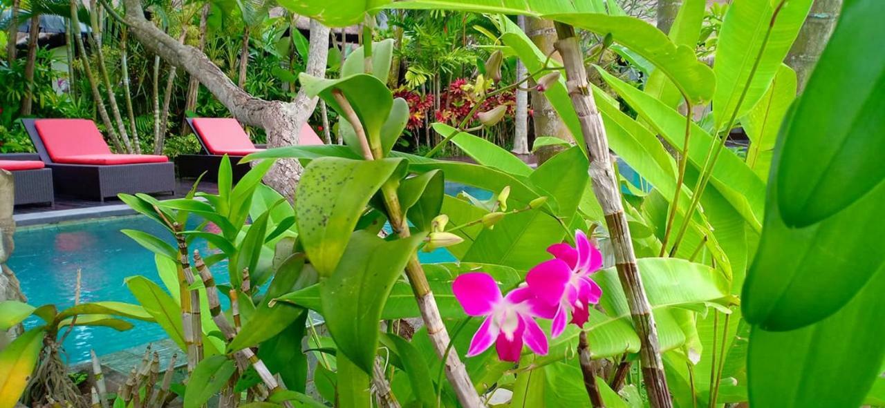 Bali Harmony Villa Ubud Kültér fotó