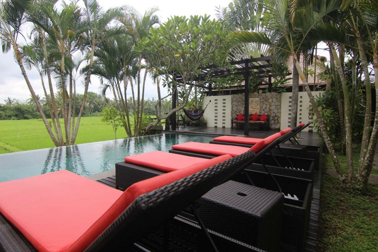 Bali Harmony Villa Ubud Kültér fotó