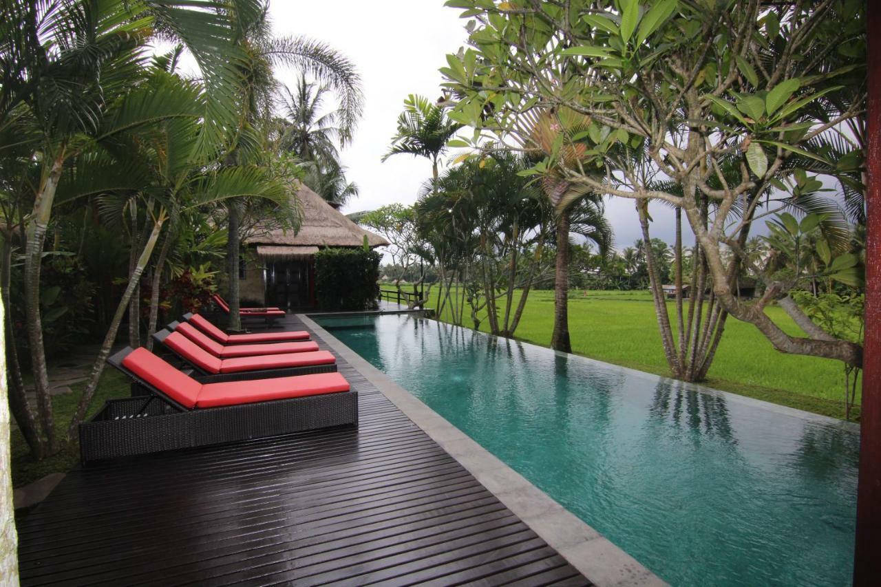 Bali Harmony Villa Ubud Kültér fotó
